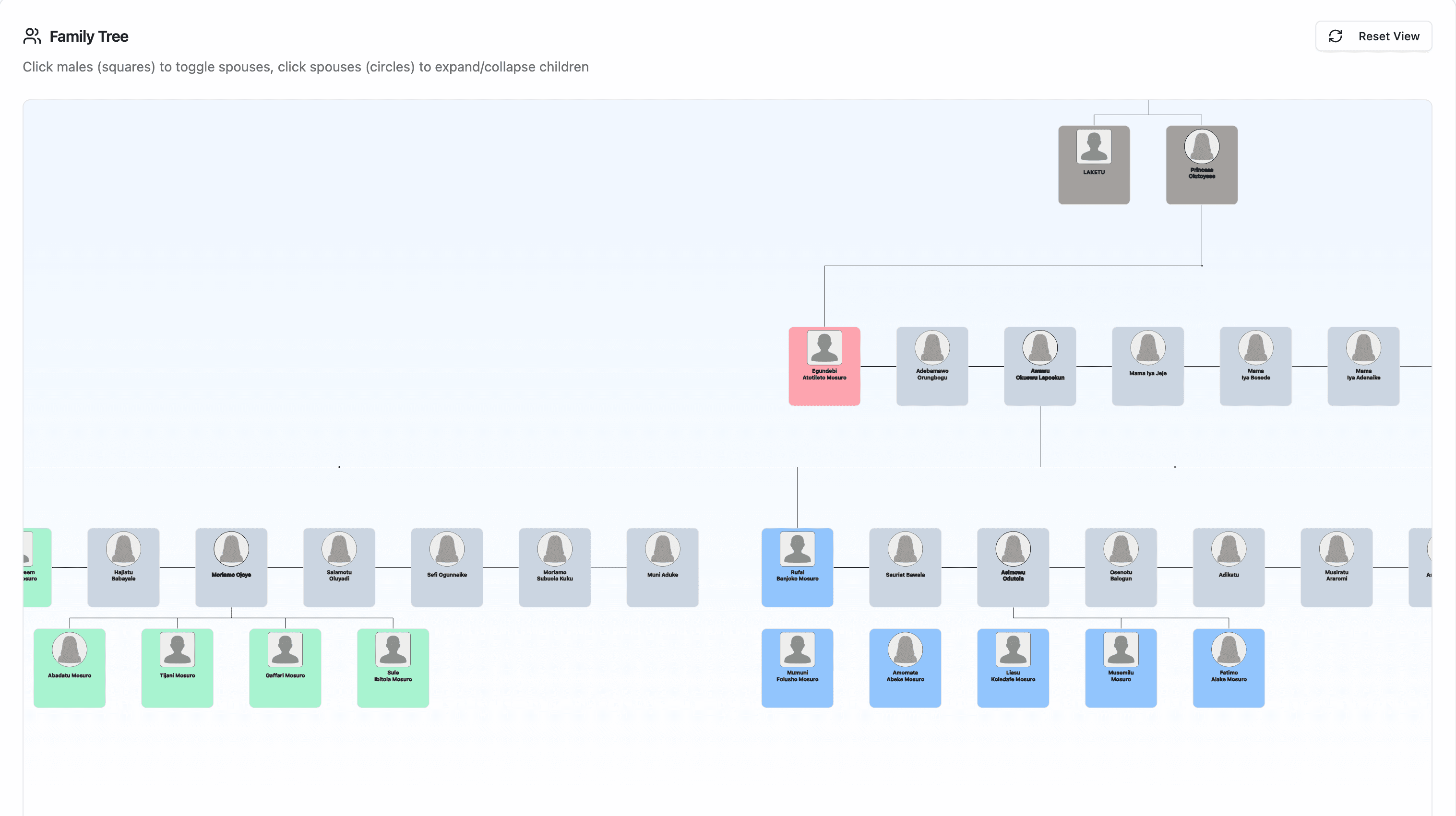 Screenshot of Kith & Kin project